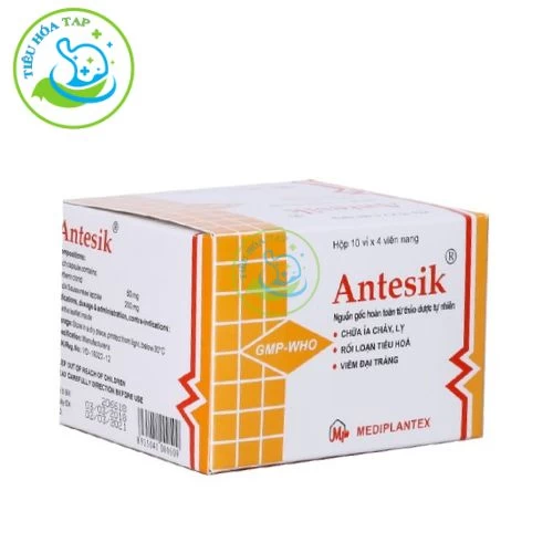 Antesik - Hộp 10 vỉ x 4 viên