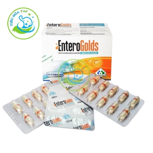 EnteroGolds - Hộp 6 vỉ x 10 viên