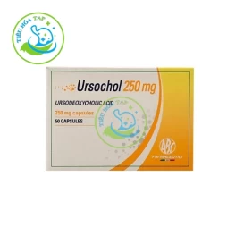 Ursochol 250mg - Thuốc điều trị sỏi mật, rối loạn gan mật